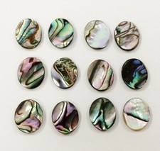 Vintage genuine abalone for sale  Johnston