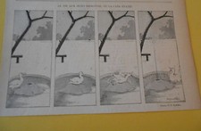 Tir oeufs improvisé d'occasion Tir oeufs improvisé d'occasion  La Verpillière