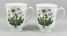 Portmeirion mugs botanic for sale  YORK