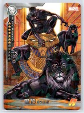 Black panther camon for sale  Spencer
