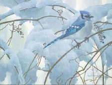 Robert bateman snowy for sale  Milwaukee
