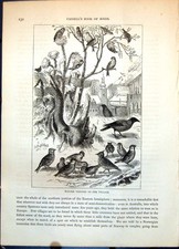 Old print winter for sale  UK