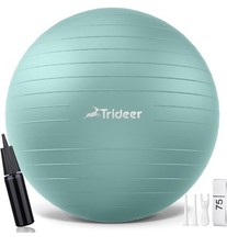 large exercise ball for sale large exercise ball for sale Garden City