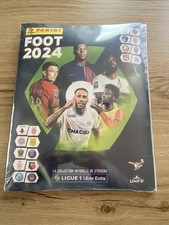 Album panini foot d'occasion  Lure