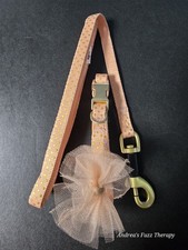 Small dog collar for sale  Gastonia