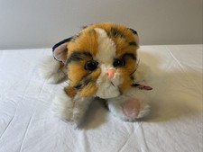 Kitty kitty jungle for sale  East Waterboro