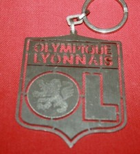 Superbe grand porte d'occasion  Jujurieux
