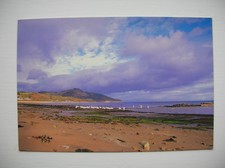 Arran postcard whiting for sale  FALKIRK