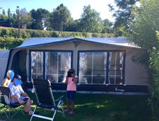 Isabella ambassador moonlight for sale  NOTTINGHAM