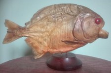 Ancien piranha ventre d'occasion  Valenciennes
