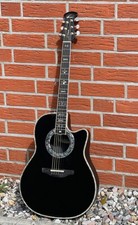 Vation custom legend gebraucht kaufen  Boizenburg/ Elbe