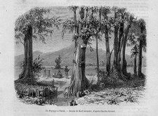 Stampa antica veduta usato  Lecco