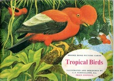 brooke bond tropical birds for sale  HEXHAM