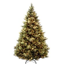 National tree company for sale  USA