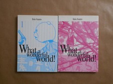 What wonderful world usato  Valchiusa