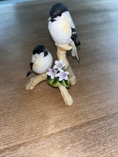 Andrea sadek birds for sale  Vernon Rockville