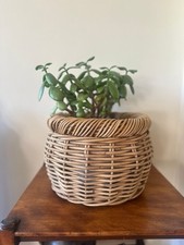Large wicker planter for sale  WOODHALL SPA