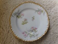 Assiette porcelaine vierzon d'occasion  Ussac