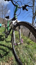 Mountain bike usata usato  Genova