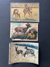Riginal künstler 1920 gebraucht kaufen  Mainz