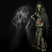 Halloween witch costume for sale  CLEETHORPES