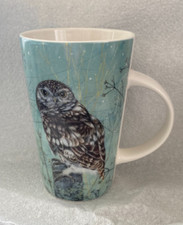 Riverbank little owl for sale  STUDLEY