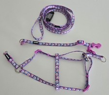 dog leash collar set for sale dog leash collar set for sale Green Valley