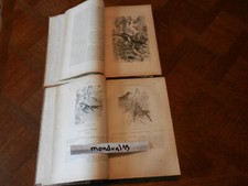 Ornithologie oiseaux 1896 d'occasion  Lezoux