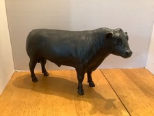 angus bulls for sale angus bulls for sale Thompson Ridge
