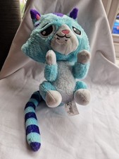 Cuddly little cat for sale  WOLVERHAMPTON