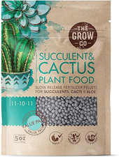 Succulents cactus plant for sale  Denver