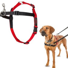 Halti dog front for sale  PETERBOROUGH