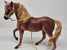 morgan mare for sale morgan mare for sale Burleson