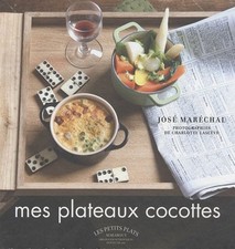 Plateaux cocottes d'occasion  Expédié en Belgium