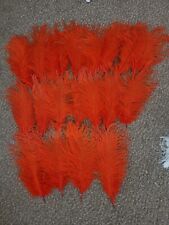 Orange ostrich feathers for sale  STAFFORD