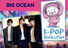 Kpop revolution mainz gebraucht kaufen  Eppingen