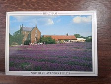 Norfolk lavender fields for sale  NORTHAMPTON