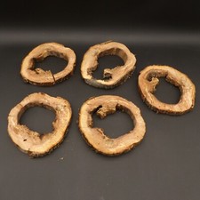 Hohle baumscheibe holzscheibe gebraucht kaufen  Spreenhagen