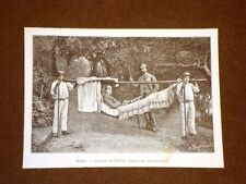 Madère en 1889 Hamac e Carrinho Madera Portogallo comprar usado  Enviando para Brazil