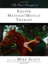 Basic principles equine for sale  UK