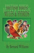 British birds mules for sale  ROSSENDALE