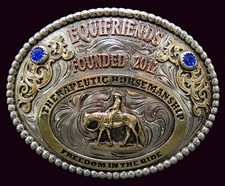 Equifriends therapeutic horsem for sale  Mayfield