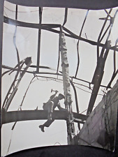 1946 dresden foto gebraucht kaufen  Deutschland