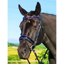 Fss anatomical bridle for sale  INVERURIE