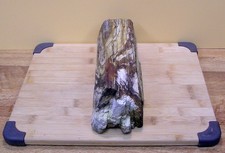 Oregon petrified oak for sale  Saint Helens