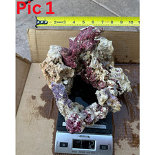 Rare live rocks for sale  El Cajon