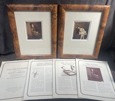 Lewis carroll photographs for sale  HIGH WYCOMBE