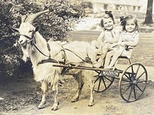 Girls cart pulled for sale  Verona