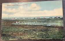 Coloured postcard cricket for sale  NEWCASTLE UPON TYNE