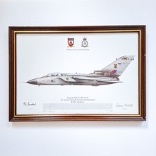 Signed squadron print for sale  PORTSMOUTH
